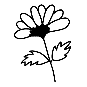 국화꽃